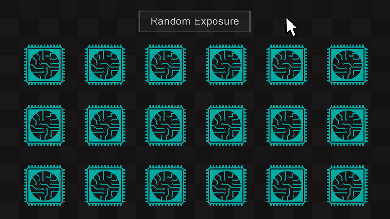 Random Exposure