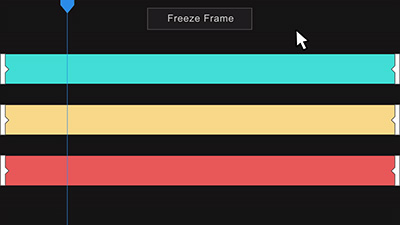 Freeze Frame